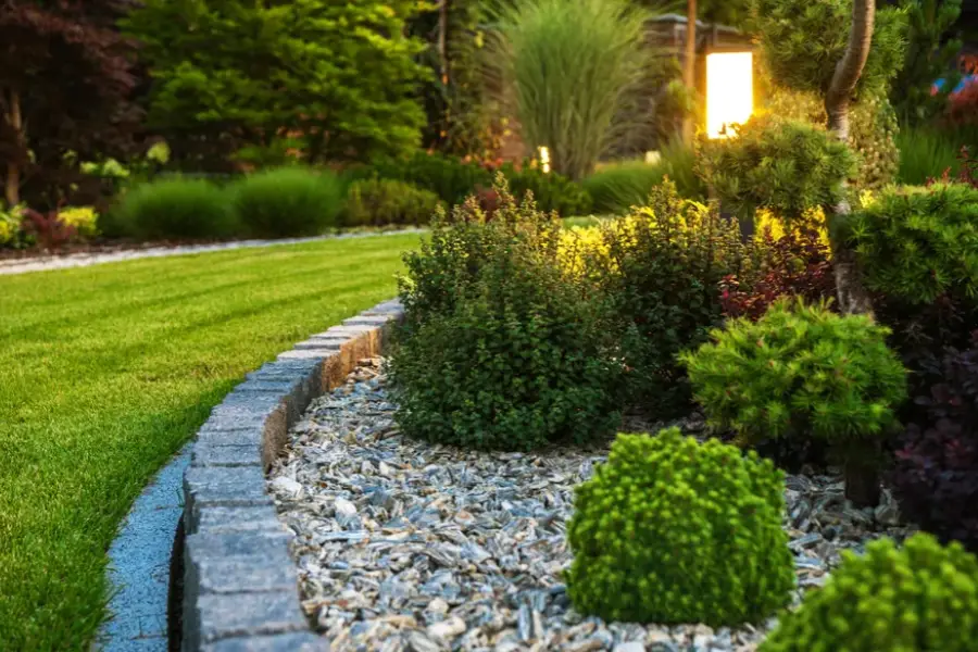 Choosing Plants That Simplify Maintenance Efforts Danville CA Choosing Plants That Simplify Maintenance Efforts Danville CA