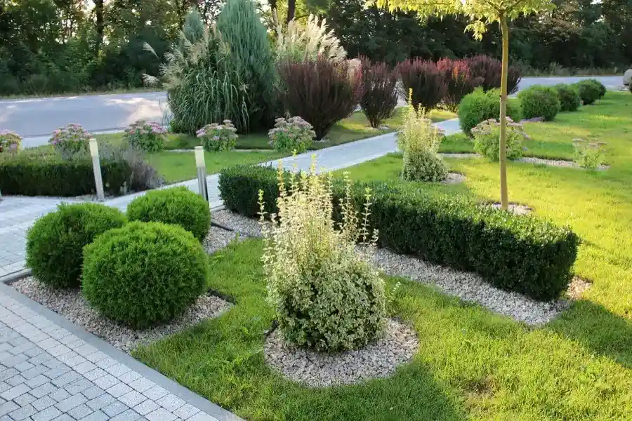 Choosing Plants That Simplify Maintenance Efforts in Danville CA Choosing Plants That Simplify Maintenance Efforts in Danville CA
