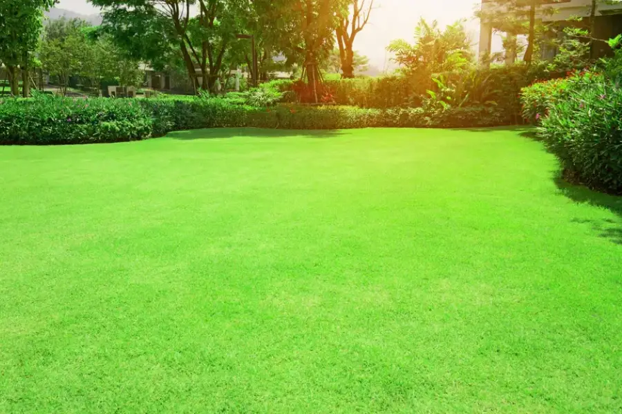 Common Challenges In Landscaping Maintenance Solutions Danville CA Common Challenges In Landscaping Maintenance Solutions Danville CA