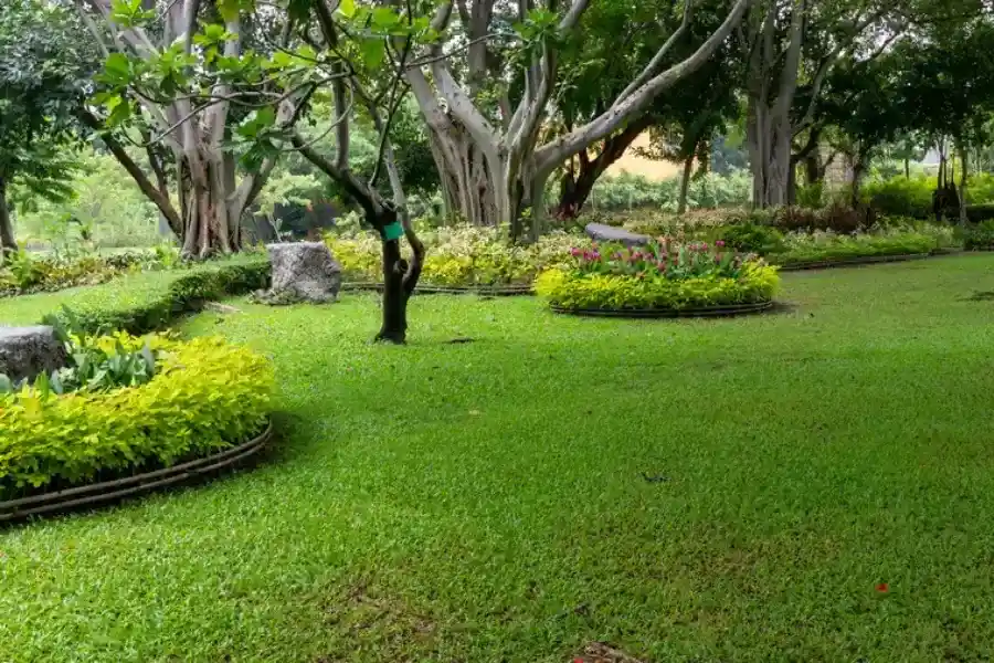 Premium Landscaping Maintenance Danville, CA Premium Landscaping Maintenance Danville, CA