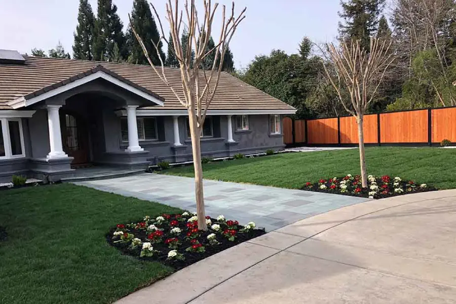 Professional Landscaper