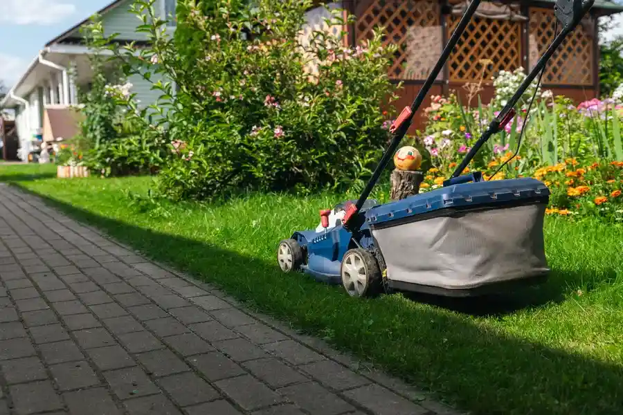 Reputable Landscaping Maintenance Danville, CA Reputable Landscaping Maintenance Danville, CA