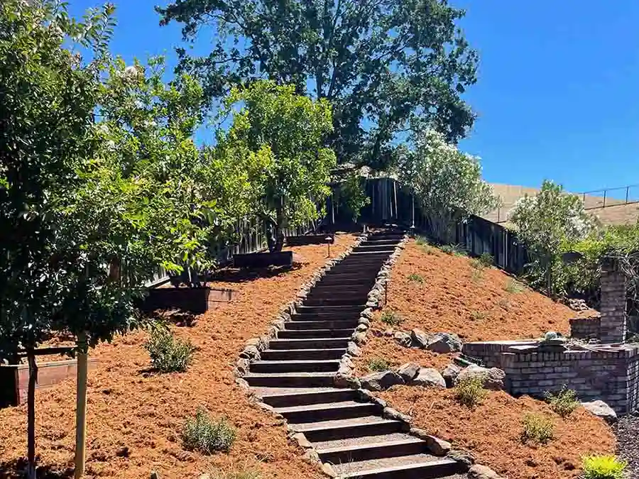 Skilled Landscaping Contractor