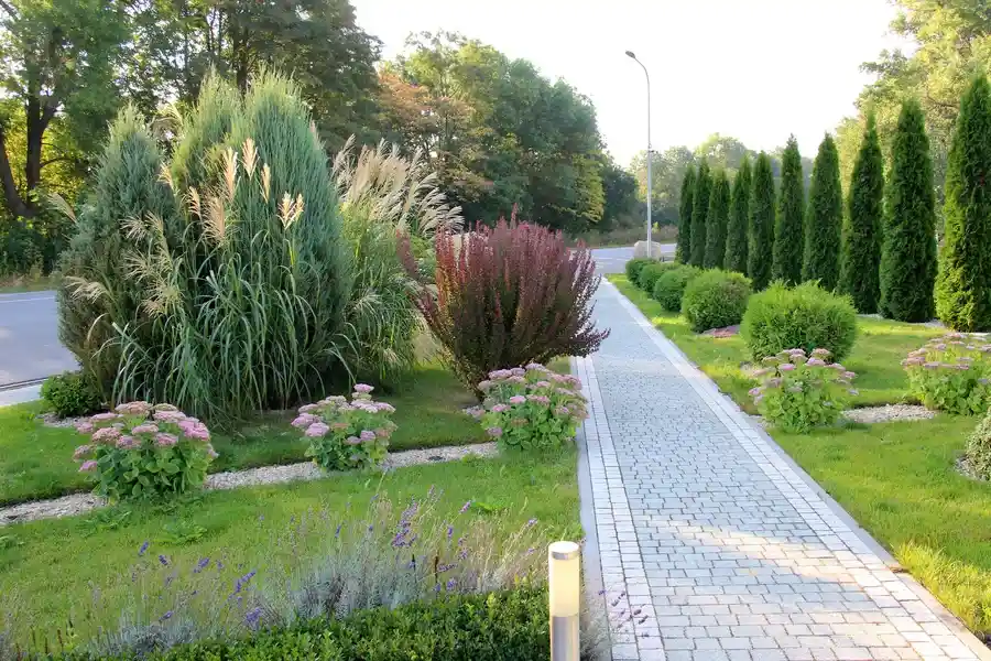 Top-rated Landscaping Maintenance Danville, CA Top-rated Landscaping Maintenance Danville, CA