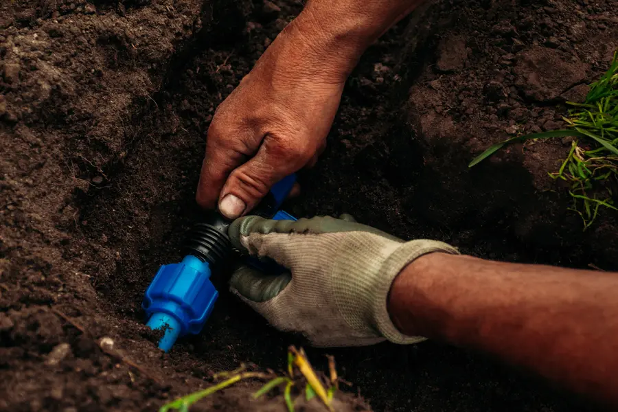 When To Schedule Sprinkler System Installation For Optimal Results in Danville CA When To Schedule Sprinkler System Installation For Optimal Results in Danville CA